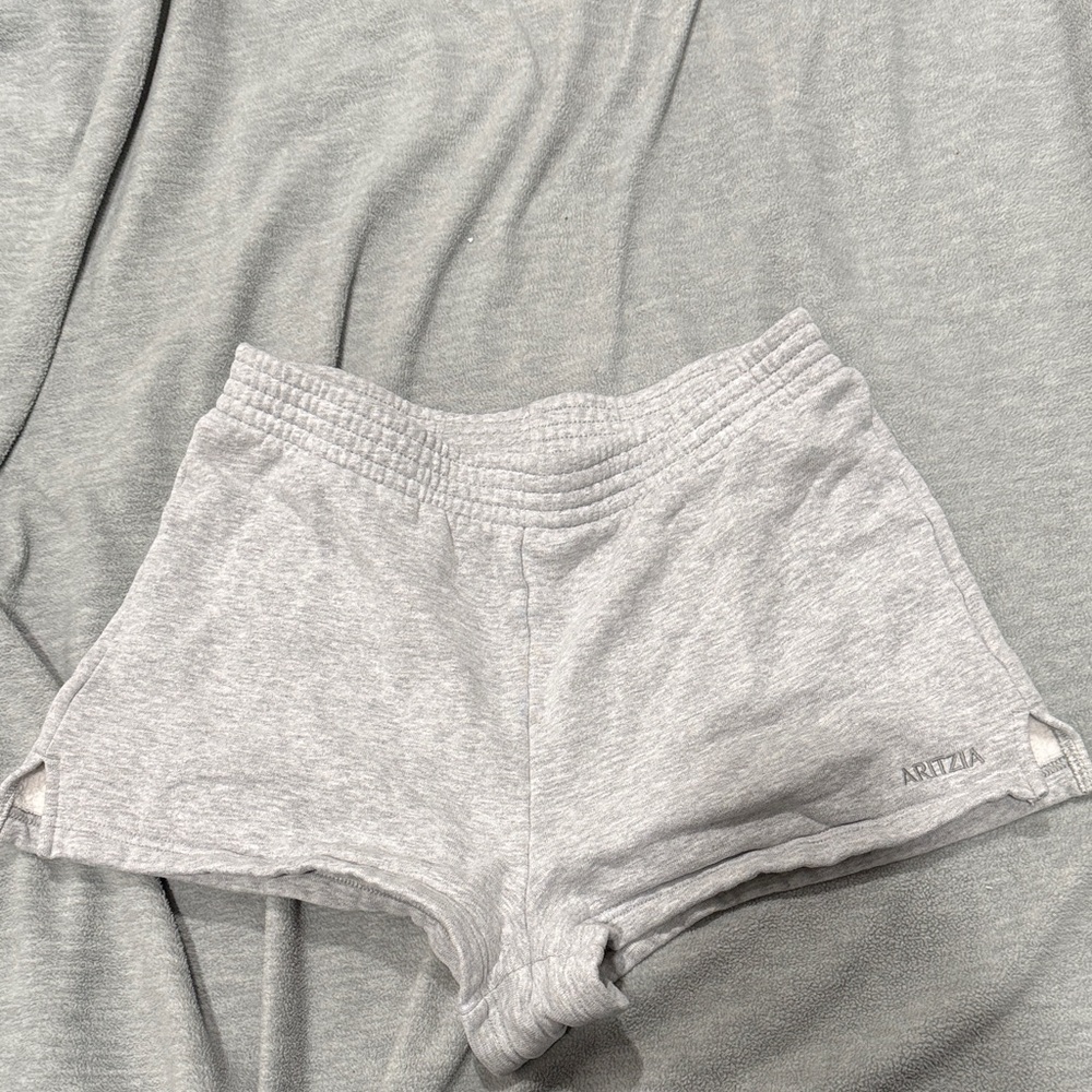 Aritzia Cozy Sweatfleece Perfect Micro Shorts